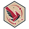 Arizona Cardinals Sportskopes badge