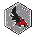 Atlanta Falcons SportSkopes badge