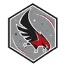 Atlanta Falcons SportSkopes badge