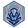 Buffalo Bills SportSkopes badge